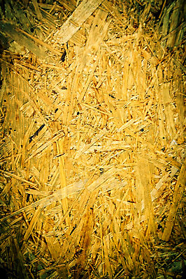 포토 JPG 해외이미지 나무 디자인 산업 백그라운드 패턴 표면 추상 사람없음 목재 갈색 환경 판넬 널 숲 목수 묘사 질감 날것 목공예 내추럴 벌목 수목 옛날 해외202004 해외포토 식물 직업 컬러 무늬 재료 공예 파일형식 이미지허브