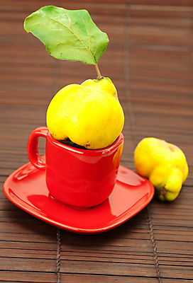 포토 JPG 해외이미지 라이프스타일 식기 접시 계절 음료 음식 줄기 백그라운드 잎 채소 과일 재료 자연 건강 사람없음 컵 초록색 노란색 우주 일본 매트 가을 신선 양념 황금 선택 맛 사과 먹기 허브 대나무 향신료 오브젝트 향기 슛 숙성 해외202004 해외포토 나무 식물 아시아 컬러 컨셉 모션 생활 생태계 냄새 향미료 파일형식 이미지허브