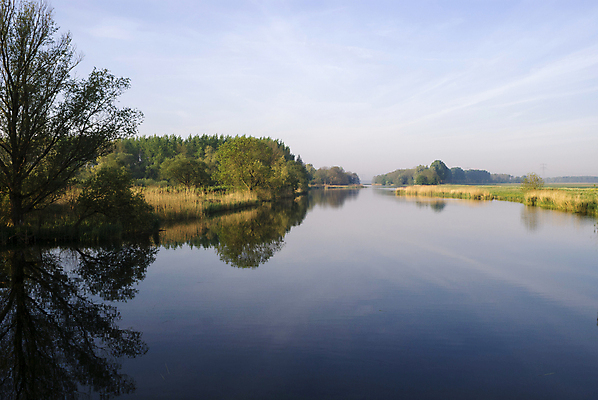 포토 JPG 해외이미지 자연 아침 갈대 풍경 사람없음 야외 물 반사 평화 침묵 고요 개울 네덜란드 조용 해외202004 해외포토 주간 자연요소 식물 유럽 컨셉 강 소리 생태계 파일형식 이미지허브