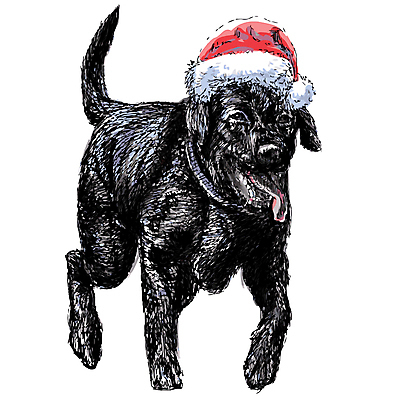 포토 JPG 해외이미지 동물 계절 행복 새끼 백그라운드 크리스마스 겨울 일러스트 포유류 휴가 새해 기념 선물 사람없음 장식 빨간색 초록색 반려동물 산타클로스 축제 수확 흰색 인사 개 강아지 모피 주기 그림 비글 손그림 송곳니 고립 기르기 복종 유래 해외202004 해외포토 기념일 감정 컬러 농업 모션 예절 치아 돌봄 파일형식 이미지허브