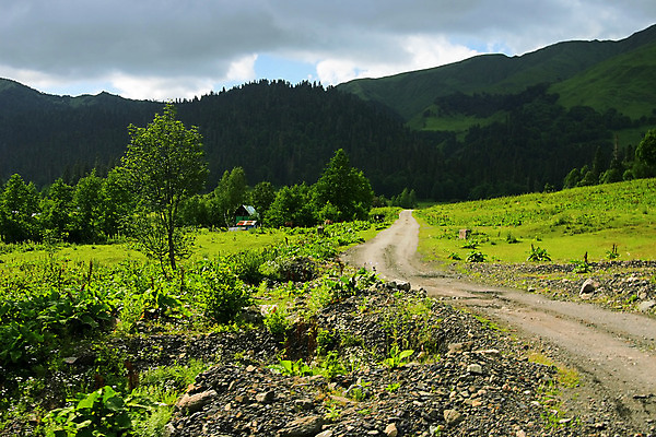 포토 JPG 해외이미지 나무 식물 구름 문화 도로 길 여행 밭 자연 하늘 날씨 휴가 산 파노라마 풍경 사람없음 야외 초록색 여름 환경 계곡 침묵 시골 고독 숲 오솔길 땅 언덕 먼지 장면 지역 멀리 땅바닥 수평선 해외202004 해외포토 자연요소 계절 감정 컬러 농업 교통시설 바닥 촬영기법 소리 생태계 파일형식 이미지허브