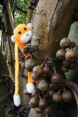 포토 JPG 해외이미지 나무 동물 행복 과일 가족 자연 새해 취미 사람없음 야외 컬러풀 장난감 놀람 원숭이 뜨개질 그룹 군중 연도 심볼 니트 오르기 장면 해피뉴이어 내추럴 양모 2016년 핸드메이드 해외202004 해외포토 식물 감정 컬러 상의 포유류 관계 모션 표정 사람 새해인사 직물 생태계 파일형식 이미지허브