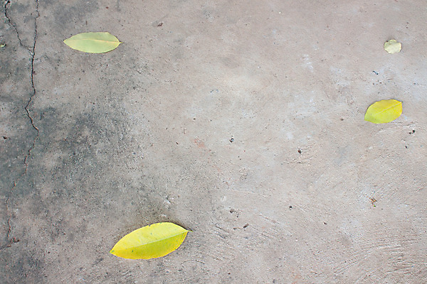 포토 JPG 해외이미지 식물 1 계절 공원 도로 벽 백그라운드 컨셉 잎 패턴 오렌지 자연 표면 추상 거리 바닥 건조 사람없음 야외 가로 노란색 환경 회색 가을 바위 변화 균열 닫기 고독 버리기 묘사 질감 땅바닥 콘크리트 해외202004 해외포토 공공시설 감정 길 컬러 무늬 과일 교통시설 모션 돌_바위 생태계 파일형식 이미지허브