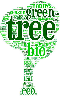 포토 JPG 해외이미지 나무 구름 백그라운드 컨셉 잎 일러스트 추상 사람없음 초록색 단어 꼬리표 환경 행성 에너지 분위기 순수 에코 생태계 지역 내추럴 바이오 생태학 해외202004 해외포토 자연요소 식물 문자 교육 컬러 무늬 라벨 우주 파일형식 이미지허브
