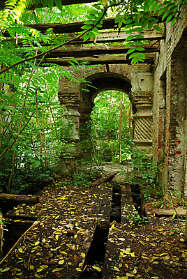 포토 JPG 해외이미지 잎 건축양식 벽돌 주택 사람없음 손상 버리기 옛날 재앙 파멸 혼란 해외202004 해외포토 식물 건축 컨셉 모션 건물 파일형식 소멸 이미지허브