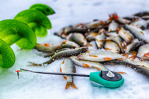 포토 JPG 해외이미지 구름 계절 남자 안경 호수 스포츠 백그라운드 캐나다 겨울 자연 하늘 성공 낚시 어류 사람 앉기 풍경 취미 사람없음 야외 물 파란색 강 노란색 냉동 얼음 장비 추위 구멍 오브젝트 국자 서리 러시아 낚시꾼 북쪽 민물 송곳 해외202004 해외포토 자연요소 잡화 유럽 컬러 컨셉 북아메리카 모션 주방용품 레저 수중동물 방향 생태계 파일형식 이미지허브