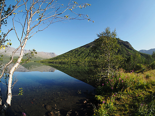 포토 JPG 해외이미지 구름 유럽 도로 호수 여행 자연 하늘 산 그림자 풍경 사람없음 야외 초록색 물 여름 회색 안개 바위 흰색 북극 관목 오르기 러시아 북쪽 내추럴 해외202004 해외포토 자연요소 나무 계절 나라 길 컬러 교통시설 모션 날씨 돌_바위 극지방 방향 생태계 파일형식 이미지허브