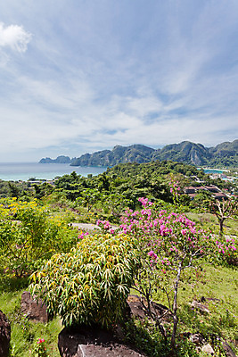포토 JPG 해외이미지 꽃 모래 바다 섬 여행 태국 자연 휴가 산 풍경 사람없음 물 모래사장 평화 교수 절벽 자유 벚꽃 조약돌 바위 시골 만 개화 황무지 순수 즐거움 만족 엽서 천국 내추럴 무료 정교 파라다이스 해외202004 영광군 해외포토 자연요소 식물 감정 아시아 컨셉 교사 돌_바위 편지 전라남도 생태계 파일형식 이미지허브