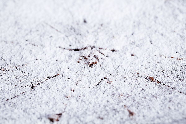 포토 JPG 해외이미지 접시 조각 디저트 사탕 사람없음 장식 갈색 쿠키 초콜릿 검은색 어둠 빵집 흰색 원형 달콤 맛 작음 유혹 가루 설탕 스위스 만족 싱글 벨기에 슈가파우더 카카오 페스츄리 해외202004 해외포토 도형 식기 감정 유럽 음식 빵 컬러 컨셉 상점 크기 서유럽 파일형식 이미지허브