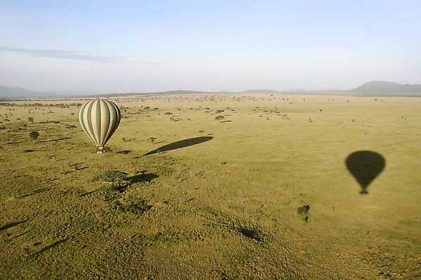 포토 JPG 해외이미지 밭 아프리카 자연 휴가 따뜻함 안테나 국립공원 풍경 사람없음 뜨거움 사파리 풍선 케냐 세렝게티 탄자니아 해외202004 해외포토 공원 나라 농업 통신 생태계 파일형식 이미지허브