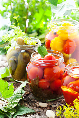 포토 JPG 해외이미지 전통 계절 음식 잎 토마토 채소 재료 방울토마토 유리 호박 오이 건강 마늘 요리 사람없음 빨간색 세로 초록색 노란색 주방 항아리 변화 닫기 허브 향신료 유기농 피클 통조림 스쿼시 내추럴 딜 식초 절임 정물화 주키니 주키니호박 채식주의자 핸드메이드 해외202004 해외포토 식물 웰빙 스포츠 컬러 컨셉 모션 재질 구기 도자기 그림 채식 향미료 파일형식 이미지허브