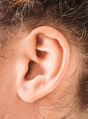 포토 JPG 해외이미지 모양 1 라이프스타일 여자 신체 해부 프레임 건강 한명 사람 인종 성인 옆모습 약 갈색 검은색 침묵 소리 활발 듣기 구멍 감각 선탠 피부 드럼 귀 밀랍 주목 해외202004 해외포토 뷰포인트 컬러 컨셉 의학 모션 타악기 생활 신체부위 파일형식 이미지허브