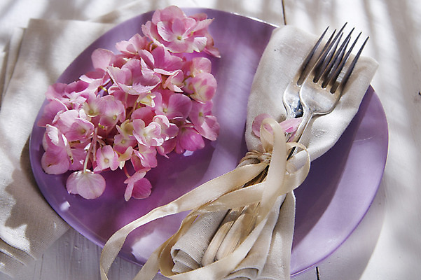 포토 JPG 해외이미지 식물 접시 꽃잎 꽃 분홍색 포크 자연 탁자 사람없음 정원 봄 흐름 신선 우아함 향기 수국 내추럴 해외202004 해외포토 식기 계절 컬러 가구 컨셉 생태계 냄새 파일형식 이미지허브