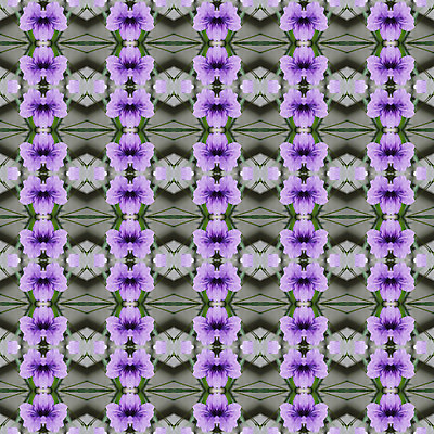 포토 JPG 해외이미지 식물 전통 계절 꽃 백그라운드 잎 패턴 자연 벽지 추상 사람없음 치료 가로 초록색 컬러풀 성장 제비꽃 즐거움 뿌리 꼬투리 해외202004 해외포토 감정 컬러 무늬 의학 생태계 파일형식 이미지허브