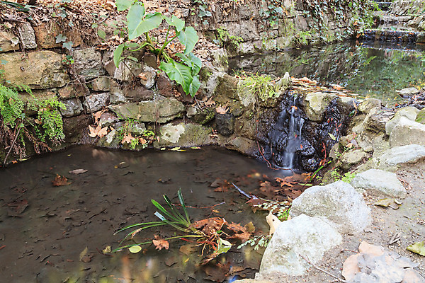 포토 JPG 해외이미지 식물 자국 자연 휴식 천사 건강 사람없음 초록색 물 미국 침묵 봄 폭포 하이킹 연못 신선 캘리포니아 로스앤젤레스 양치류 해외202004 해외포토 자연요소 계절 컬러 컨셉 북아메리카 레저 소리 생태계 파일형식 이미지허브