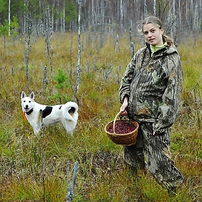 포토 JPG 해외이미지 나무 식물 1 계절 여자 열매 음식 밭 과일 자연 건강 이끼 사람 사람없음 야외 빨간색 초록색 컬러풀 금발 바구니 환경 수확 가을 시골 신선 작업 선택 개 습지 순수 유기농 날것 내추럴 변소 숙성 크랜베리 해외202004 해외포토 헤어스타일 웰빙 컬러 컨셉 농업 포유류 생태계 파일형식 이미지허브