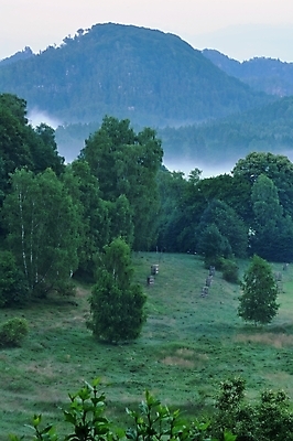 포토 JPG 해외이미지 나무 식물 구름 계절 실루엣 여행 백그라운드 밭 자연 하늘 아침 산 파노라마 풍경 사람없음 야외 여름 파란색 빛 햇빛 평화 일출 환경 어둠 침묵 꿈 안개 가을 시골 숲 신비 땅 언덕 산등성이 장면 내추럴 뿌연 생태학 해외202004 해외포토 주간 자연요소 교육 컬러 컨셉 농업 날씨 촬영기법 태양 노을 소리 생태계 파일형식 이미지허브