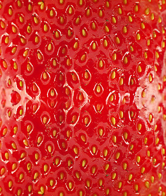 포토 JPG 해외이미지 식물 라이프스타일 열매 음료 음식 백그라운드 잎 패턴 농업 과일 자연 딸기 프레임 건강 씨앗 사람없음 빨간색 여름 약 침묵 주스 활발 신선 양념 우아함 달콤 아침식사 먹기 오브젝트 싱글 상쾌 유기농 질감 날것 문학 충동구매 멀티 숙성 해외202004 해외포토 웰빙 계절 감정 산업 컬러 컨셉 무늬 의학 모션 생활 쇼핑 식사 소리 맛 생태계 과소비 파일형식 이미지허브