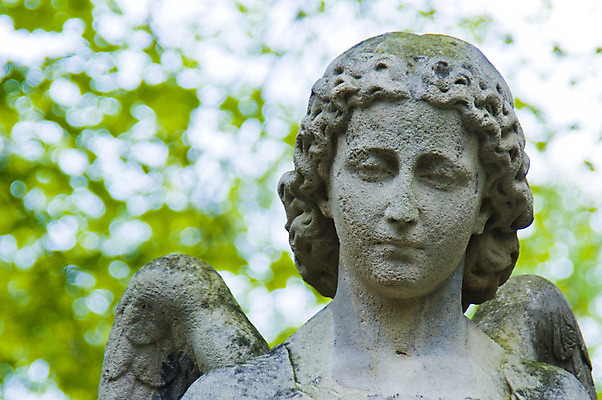 포토 JPG 해외이미지 손 응시 꽃 종교 얼굴 조각 여행 십자가 크리스마스 날개 건축양식 손가락 하늘 엄마 왕관 천사 새로움 사랑 사람없음 여름 조각상 바위 기도 죽음 무덤 심볼 대리석 신성 타운 기념물 천연기념물 장례 고딕 옛날 장례식 쾰른 해골모형 해외202004 해외포토 식물 시선 계절 기념일 건축 감정 컨셉 재료 가족 독일 신체부위 조형물 모형 돌_바위 도시 파일형식 이미지허브