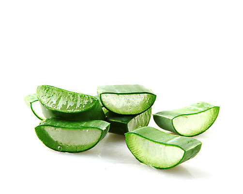 포토 JPG 해외이미지 사람없음 피부관리 흰배경 슬라이스 알로에 알로에베라 해외202004 해외포토 식물 백그라운드 뷰티 흰색 파일형식 이미지허브