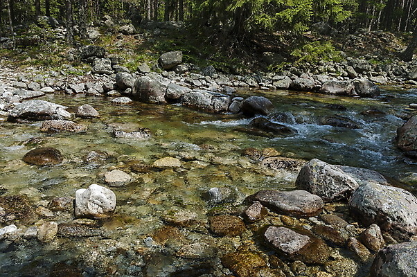 포토 JPG 해외이미지 나무 식물 계절 파도 여행 모션 자연 풍경 사람없음 초록색 물 여름 강 여행객 환경 흐름 바위 소나무 개울 닫기 숲 그림 침엽수 내추럴 불가리아 점화 해외202004 해외포토 자연요소 바다 컬러 컨셉 사람 돌_바위 생태계 파일형식 남유럽 이미지허브