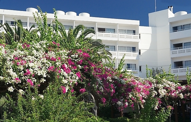 포토 JPG 해외이미지 나무 식물 외관 섬 여행 백그라운드 건축양식 자연 하늘 호텔 휴가 주택 손바닥 풍경 사람없음 야외 건물 초록색 여름 파란색 햇빛 태양 맑음 흰색 고급 지중해 장면 해외202004 해외포토 사이프러스공화국 자연요소 건축물 손 계절 건축 유럽 바다 컬러 컨셉 숙소 날씨 생태계 파일형식 이미지허브