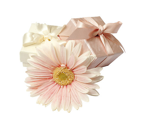 포토 JPG 해외이미지 리본 분홍색 결혼 추상 선물 사람없음 선물상자 상자 축제 흰색 축하 꽃가루 고립 해외202004 해외포토 컬러 컨셉 무늬 이벤트 가루 파일형식 이미지허브