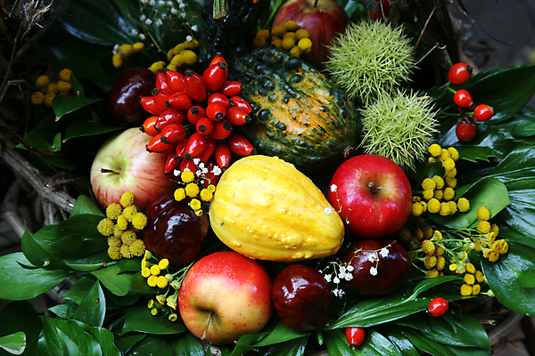 포토 JPG 해외이미지 계절 음식 백그라운드 농업 채소 과일 공 자연 호박 디저트 건조 건강 사람없음 수확 가을 신선 선택 달콤 사과 심볼 유기농 호두 강렬 개암 해외202004 해외포토 웰빙 열매 산업 컨셉 견과류 맛 생태계 파일형식 이미지허브