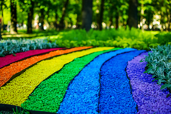 포토 JPG 해외이미지 나무 구름 계절 지구 백그라운드 무지개 밭 자연 하늘 날씨 풍경 사람없음 가로 초록색 여름 파란색 햇빛 평화 환경 힘 침묵 봄 행성 시골 신선 고독 큼 땅 사인 싱글 에코 윤곽 잡동사니 내추럴 생태학 수평선 해외202004 해외포토 자연요소 식물 교육 감정 컬러 컨셉 농업 태양 우주 소리 크기 생태계 파일형식 이미지허브
