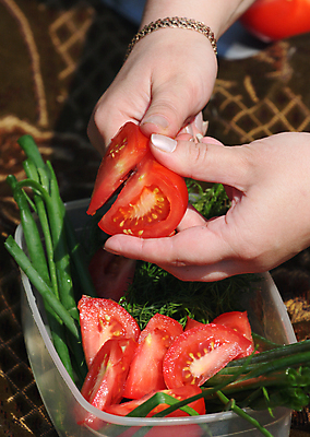 포토 JPG 해외이미지 접시 손 음식 토마토 채소 양파 사람없음 소풍 식사 칼 회향 해외202004 해외포토 식물 식기 신체부위 야외활동 파일형식 이미지허브