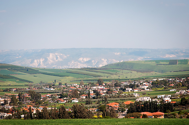 포토 JPG 해외이미지 나무 꽃 농업 하늘 산 파노라마 사람없음 파란색 밀 이스라엘 해외202004 해외포토 식물 산업 컬러 곡류 촬영기법 서아시아 파일형식 이미지허브