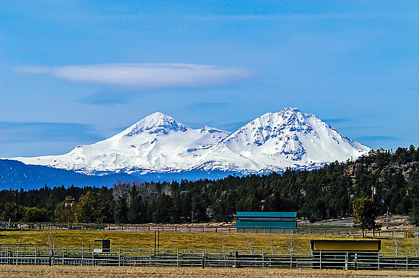 포토 JPG 해외이미지 나무 여행 겨울 자연 풍경 사람없음 야외 농장 하이킹 시골 해외202004 해외포토 식물 계절 농업 레저 생태계 파일형식 이미지허브