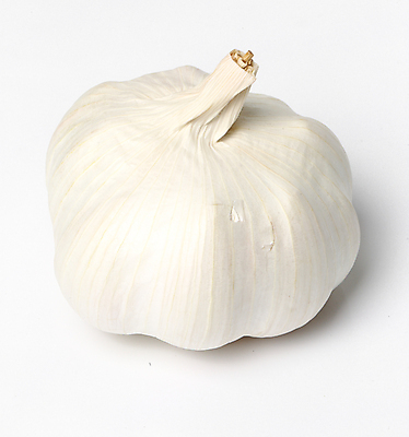 포토 JPG 해외이미지 식물 1 음식 백그라운드 채소 재료 건강 마늘 요리 사람없음 주방 수확 흰색 신선 맛 가득함 향신료 오브젝트 유기농 매움 날것 아로마 향 내추럴 고립 숙성 해외202004 해외포토 웰빙 컬러 컨셉 농업 향미료 파일형식 이미지허브