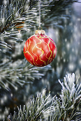 포토 JPG 해외이미지 나무 행복 백그라운드 크리스마스 겨울 공 자연 유리 휴가 새로움 선물 사람없음 목재 장식 빨간색 초록색 파란색 빛 장난감 태양 숫자 축제 장식볼 흰색 나뭇가지 축하 소나무 눈송이 숲 연도 상록수 침엽수 전나무 가문비나무 해외202004 해외포토 자연요소 식물 문자 계절 기념일 감정 컬러 컨셉 재료 재질 눈_날씨 생태계 파일형식 이미지허브