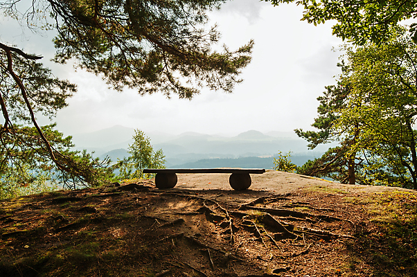 포토 JPG 해외이미지 나무 계절 공원 백그라운드 자연 하늘 아침 산 풍경 사람없음 야외 빨간색 빛 햇빛 태양 노란색 환경 침묵 안개 가을 시골 숲 10월 내추럴 뿌연 해외202004 해외포토 주간 자연요소 식물 공공시설 컬러 날씨 소리 날짜 생태계 파일형식 이미지허브