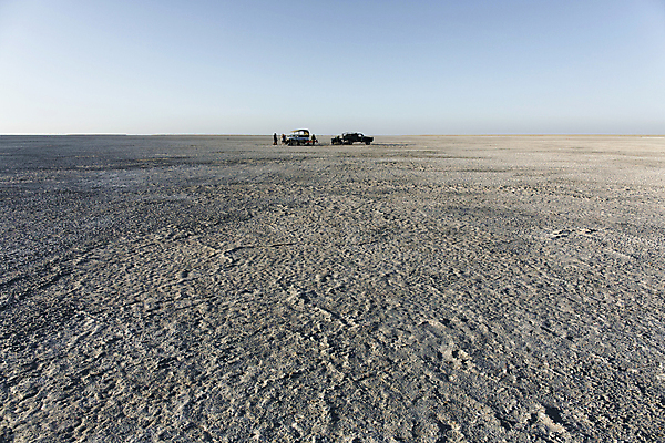 포토 JPG 해외이미지 나무 식물 잎 자연 조류 하늘 건조 국립공원 손바닥 풍경 사람없음 야외 야자수 갈색 거울 사막 나뭇가지 독수리 육식동물 부엉이 나미비아 보츠와나 칼라하리 해외202004 해외포토 동물 손 공원 컬러 생태계 남아프리카 파일형식 이미지허브