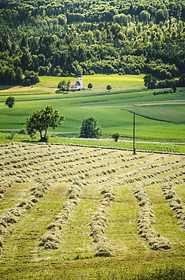 포토 JPG 해외이미지 나무 백그라운드 농업 건조 사람없음 초록색 농경지 교회 평화 계곡 맑음 시골 볏짚 숲 멀리 밀짚 세련 해외202004 해외포토 식물 산업 컬러 컨셉 종교건축 날씨 건물 농장 짚 파일형식 이미지허브