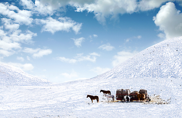 포토 JPG 해외이미지 동물 구름 겨울 밭 하늘 휴식 서기 사람없음 야외 파란색 농장 맑음 추위 흰색 그룹 승마 볏짚 먹기 조랑말 해외202004 해외포토 자연요소 계절 스포츠 컬러 컨셉 농업 모션 날씨 말_동물 짚 파일형식 이미지허브