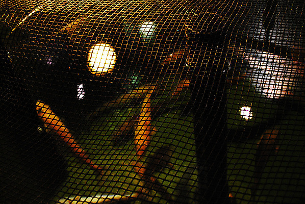 포토 JPG 해외이미지 식물 산업 낚시 어류 사람없음 농장 어장 밭일 해외202004 해외포토 농업 레저 수중동물 파일형식 이미지허브