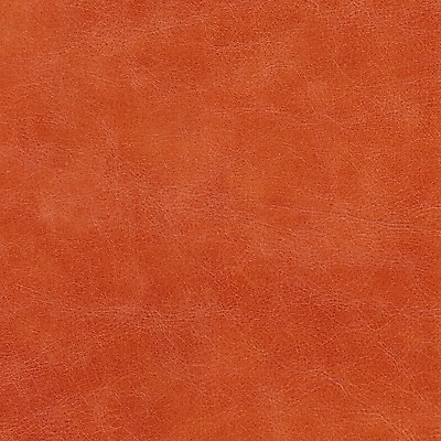 포토 JPG 해외이미지 백그라운드 패턴 오렌지 사람없음 빨간색 갈색 공백 직물 거친 가죽 피부 질감 내추럴 진짜 해외202004 해외포토 컬러 무늬 과일 신체부위 파일형식 이미지허브