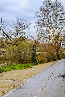 포토 JPG 해외이미지 나무 유럽 여행 겨울 하늘 사람없음 강 이탈리아 추위 도시 로마 12월 흐림 방법 해외202004 해외포토 식물 계절 나라 날씨 날짜 파일형식 이미지허브