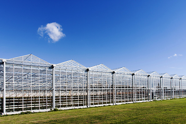 포토 JPG 해외이미지 구름 외관 산업 음식 백그라운드 농업 비즈니스 창문 자연 유리 하늘 지붕 주택 프레임 사람없음 야외 건물 파란색 빛 농장 금속 에너지 성장 뜨거움 보호 네덜란드 온실 줄서기 해외202004 해외포토 자연요소 건축물 유럽 컬러 컨셉 모션 재질 생태계 파일형식 이미지허브