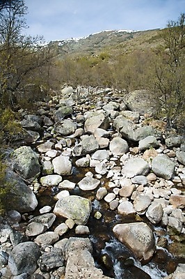 포토 JPG 해외이미지 나무 유럽 자연 산 풍경 사람없음 야외 물 강 바위 개울 스페인 숲 해외202004 해외포토 자연요소 식물 나라 돌_바위 생태계 파일형식 이미지허브