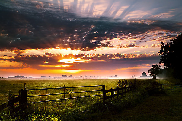 포토 JPG 해외이미지 구름 여행 밭 오렌지 자연 하늘 아침 따뜻함 풍경 사람없음 야외 초록색 여름 울타리 햇빛 태양 농경지 노란색 마을 일출 시골 속도 네덜란드 해외202004 해외포토 주간 자연요소 계절 유럽 컬러 농업 과일 담장 농장 노을 생태계 파일형식 이미지허브