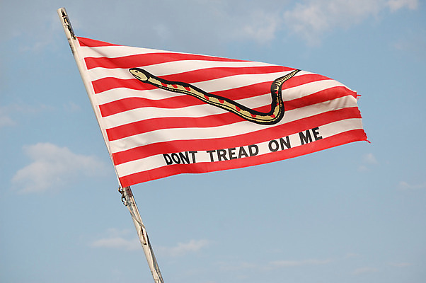 포토 JPG 해외이미지 배너 하늘 사람없음 야외 미국 깃발 뱀 오브젝트 해군 애국심 해외202004 해외포토 북아메리카 파충류 군대 파일형식 이미지허브