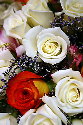 포토 JPG 해외이미지 식물 기념일 꽃잎 꽃 분홍색 꽃다발 결혼 백그라운드 잎 꽃무늬 오렌지 자연 결혼식 발렌타인데이 선물 사랑 사람없음 장식 컬러풀 장미 노란색 보라색 벚꽃 흰색 그룹 시장 묘사 질감 열정 붓꽃 들러리 강렬 멀티 해외202004 해외포토 감정 컬러 무늬 과일 데이이벤트 이벤트 생태계 하객 파일형식 이미지허브