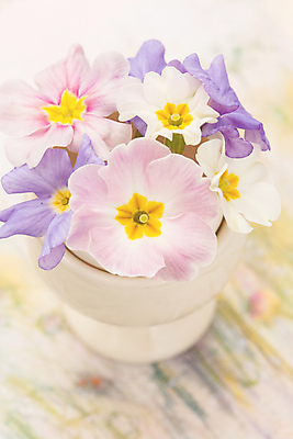 포토 JPG 해외이미지 식물 계절 꽃 분홍색 꽃다발 자연 휴가 휴식 부활절 실내 선물 사람없음 여름 파란색 꽃병 보라색 봄 흰색 신선 5월 감사 엽서 파스텔톤 많음 어머니의날 해외202004 해외포토 기념일 감정 컬러 컨셉 내부 날짜 편지 생태계 미국문화 파일형식 이미지허브