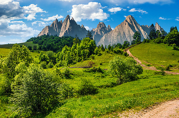 포토 JPG 해외이미지 나무 길 자연 하늘 날씨 산 따뜻함 풍경 경사 사람없음 야외 여름 환경 놀람 시골 숲 땅 언덕 산등성이 합성 슬로바키아 절정 해외202004 해외포토 식물 계절 감정 유럽 표정 생태계 파일형식 이미지허브