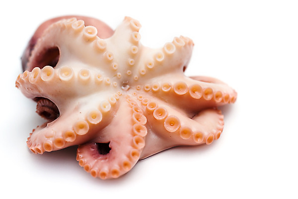 포토 JPG 해외이미지 동물 음식 바다 백그라운드 패턴 재료 부분 자연 낚시 생물 잉크 나선형 건강 육류 어류 요리 사람없음 가로 빨간색 물 보라색 흰색 신선 맛 해산물 오브젝트 오징어 날것 냄새 문어 촉수 내추럴 고립 해외202004 해외포토 자연요소 컬러 컨셉 무늬 식재료 레저 연체동물 수중동물 생태계 파일형식 이미지허브