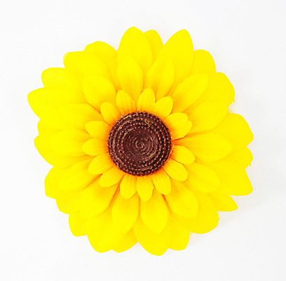 포토 JPG 해외이미지 식물 꽃잎 꽃 잎 꽃무늬 패턴 농업 오렌지 자연 해바라기 씨앗 사람없음 여름 컬러풀 태양 노란색 정원 맑음 검은색 봄 벚꽃 흰색 원형 개화 닫기 플라스틱 꽃집 유기농 원예 질감 꽃가루 내추럴 고립 해외202004 해외포토 자연요소 도형 웰빙 계절 산업 컬러 무늬 과일 모션 재질 날씨 취미 상점 가루 생태계 파일형식 이미지허브